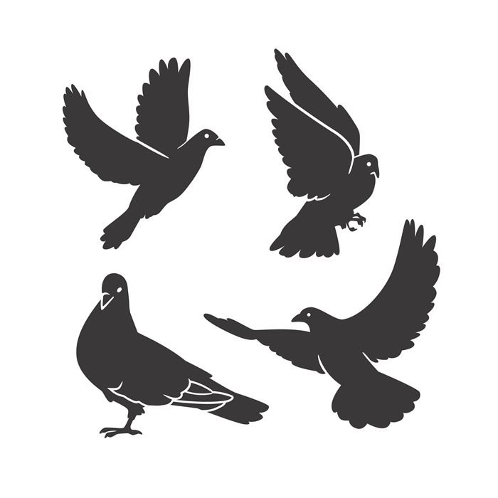 Pigeon pose reference sheet